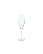 Champagne Flute